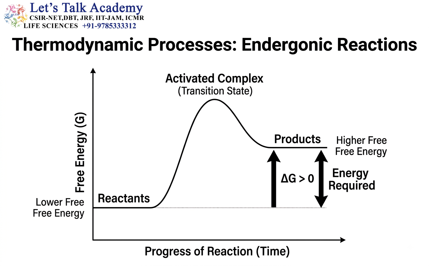 Endergonic Reactions
