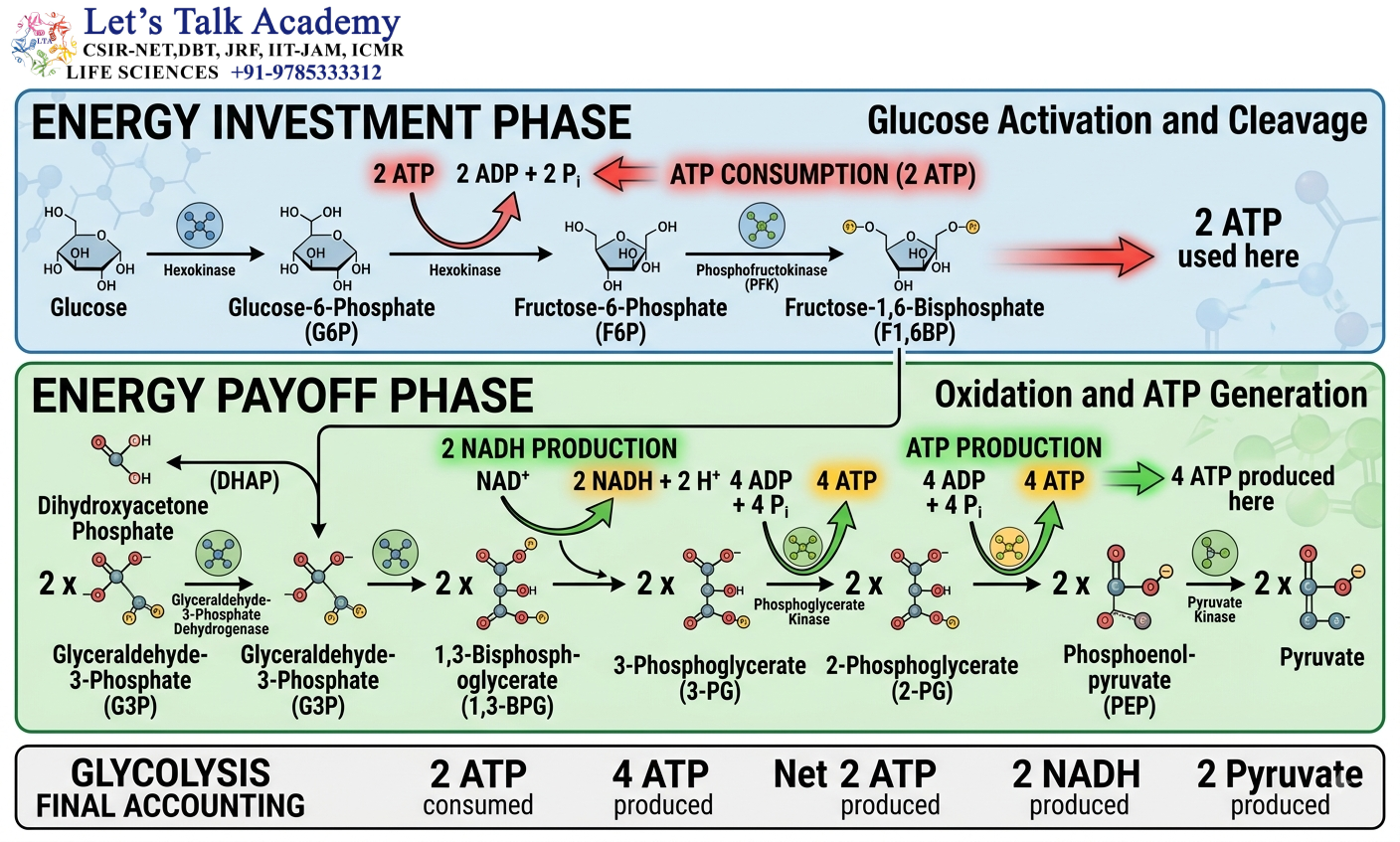 Energy Investment and Energy Payoff
