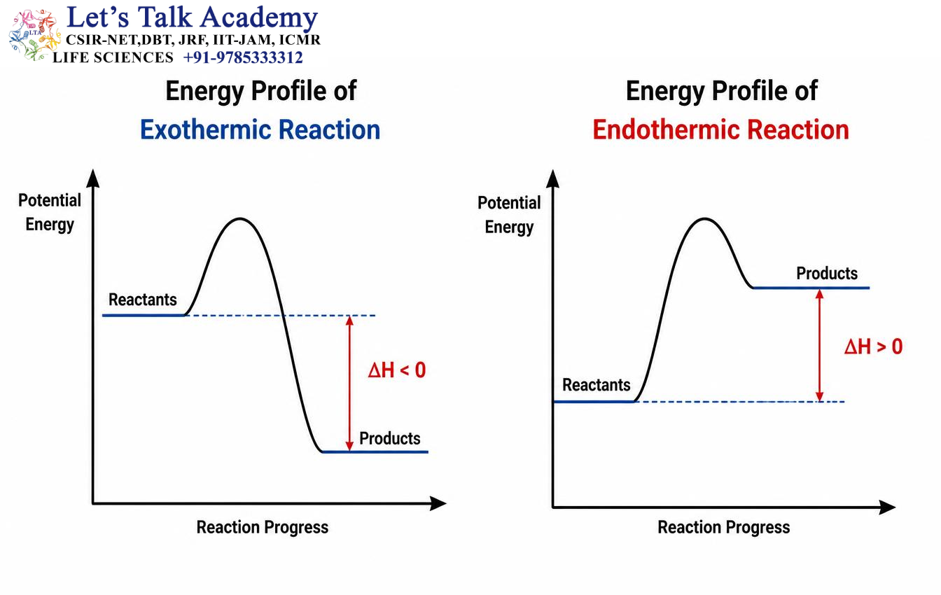 Energy Profile of Exothermic and Endothermic Reactions