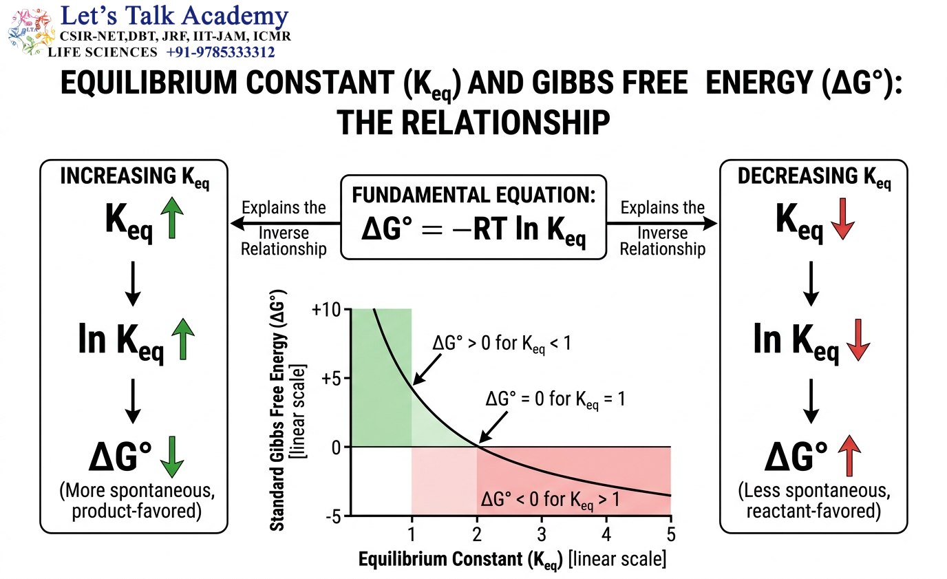 Equilibrium Constant and Gibbs Free Energy