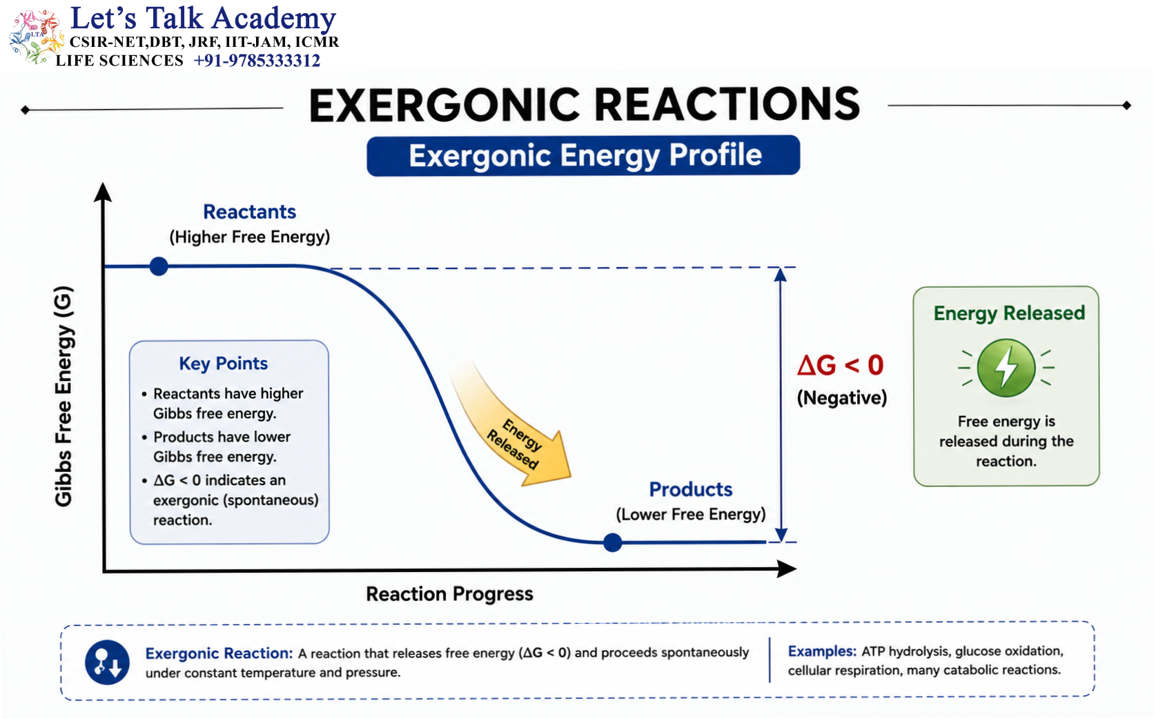 Exergonic Reactions
