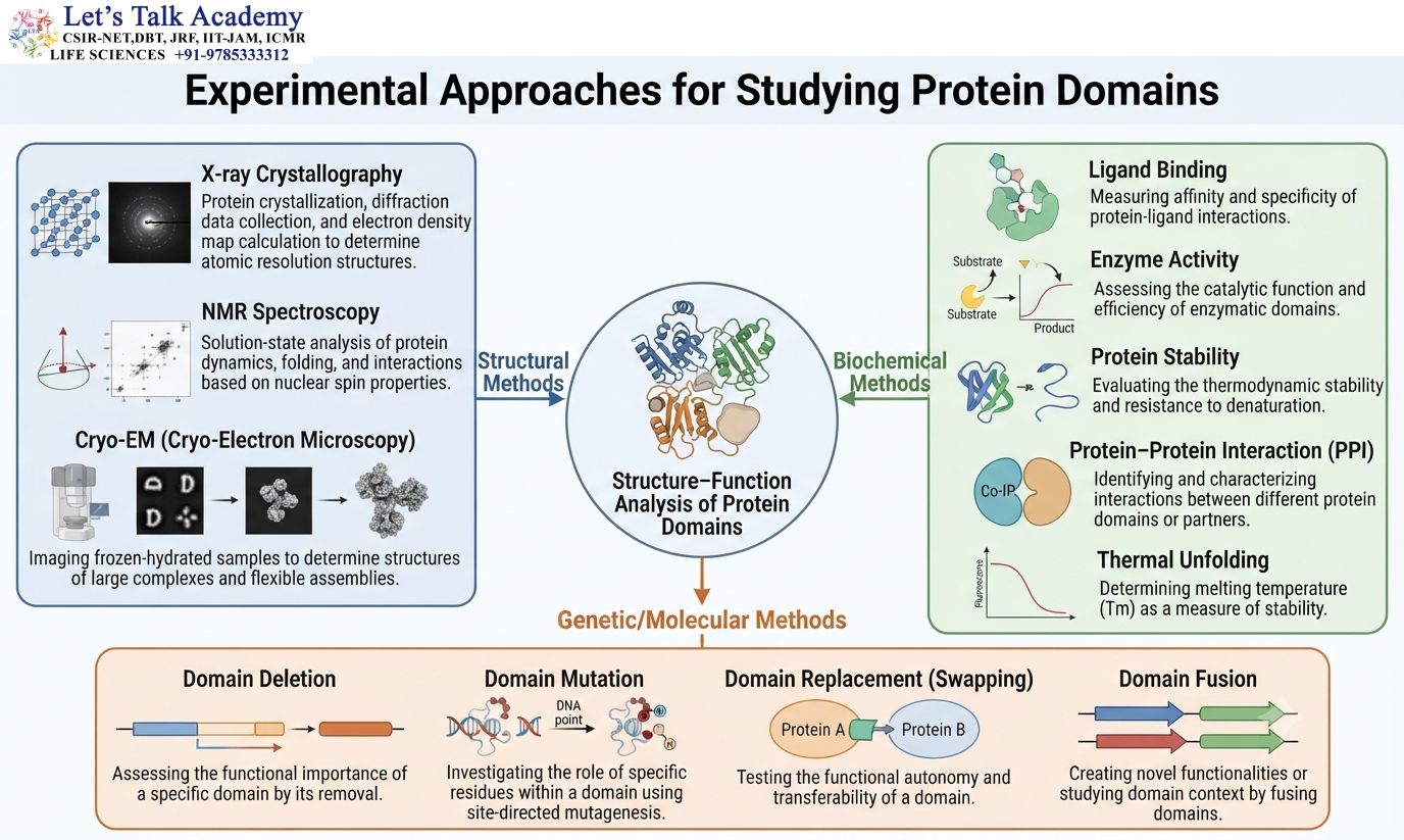 Experimental Approaches for Studying Protein Domains