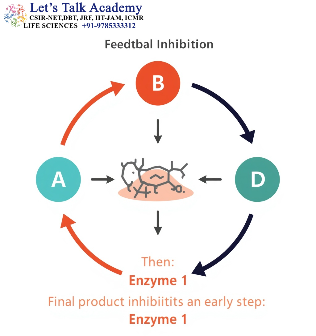 Feedback Inhibition