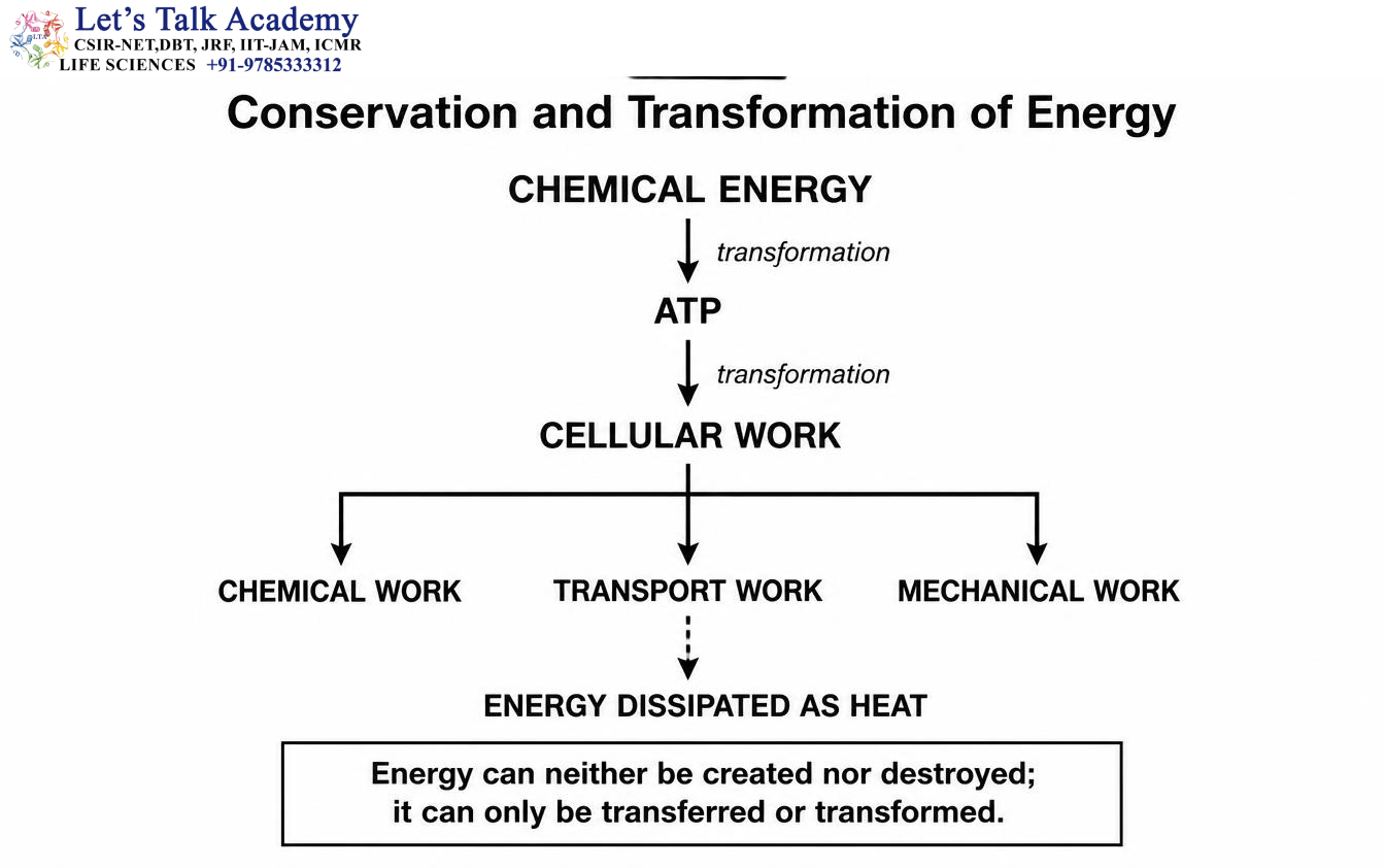 First Law of Thermodynamics