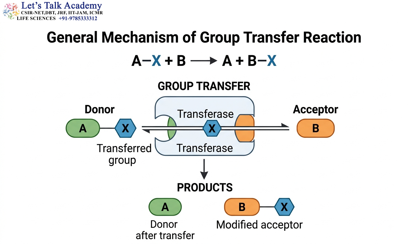 General Mechanism of Group Transfer