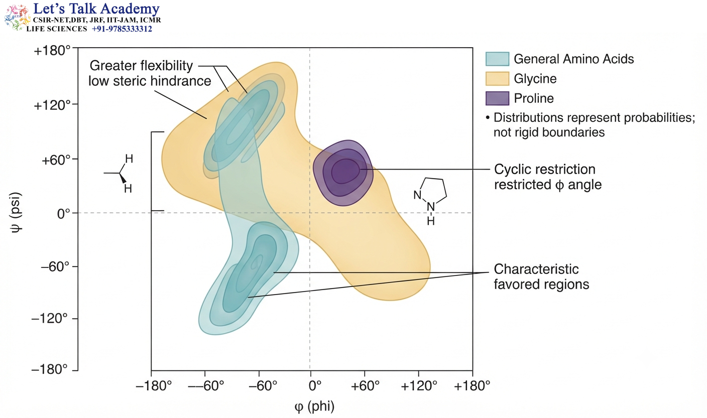 Glycine and Proline Have Distinct Ramachandran Distributions