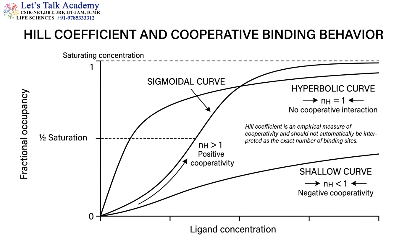 Hill Coefficient and Cooperative Binding Behavior