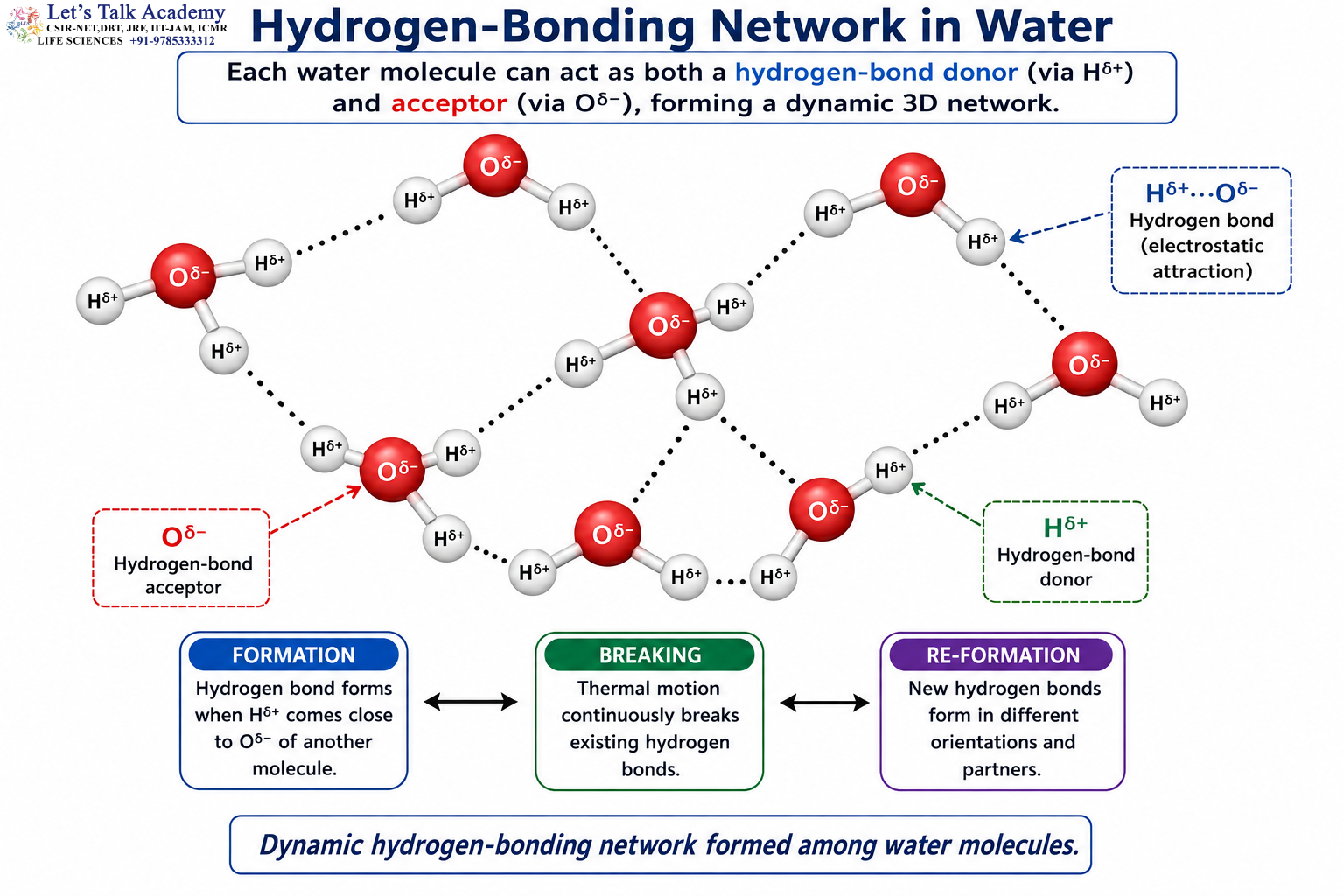 Hydrogen-Bonding Network in Water