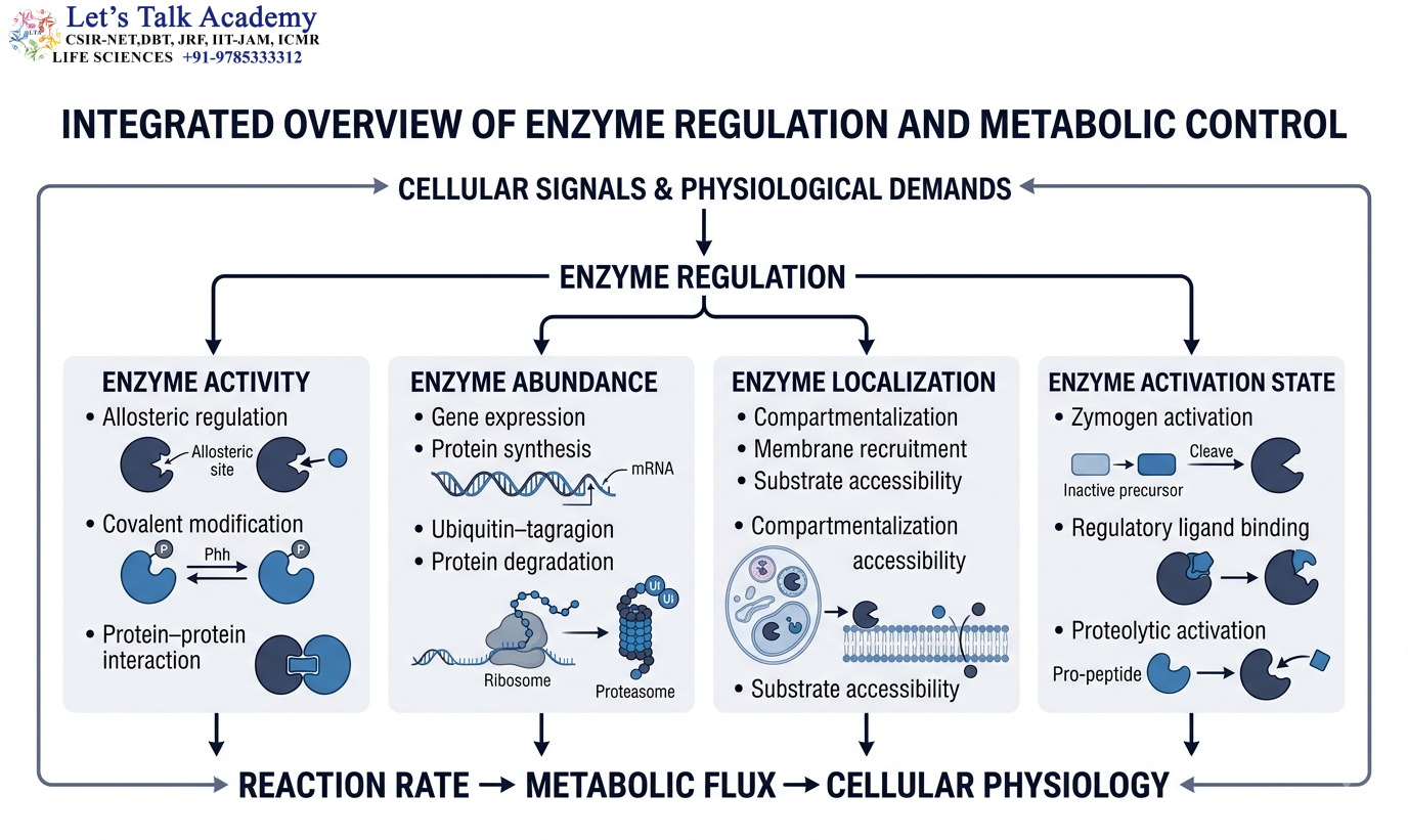 Integrated Overview of Enzyme Regulation and Metabolic Control