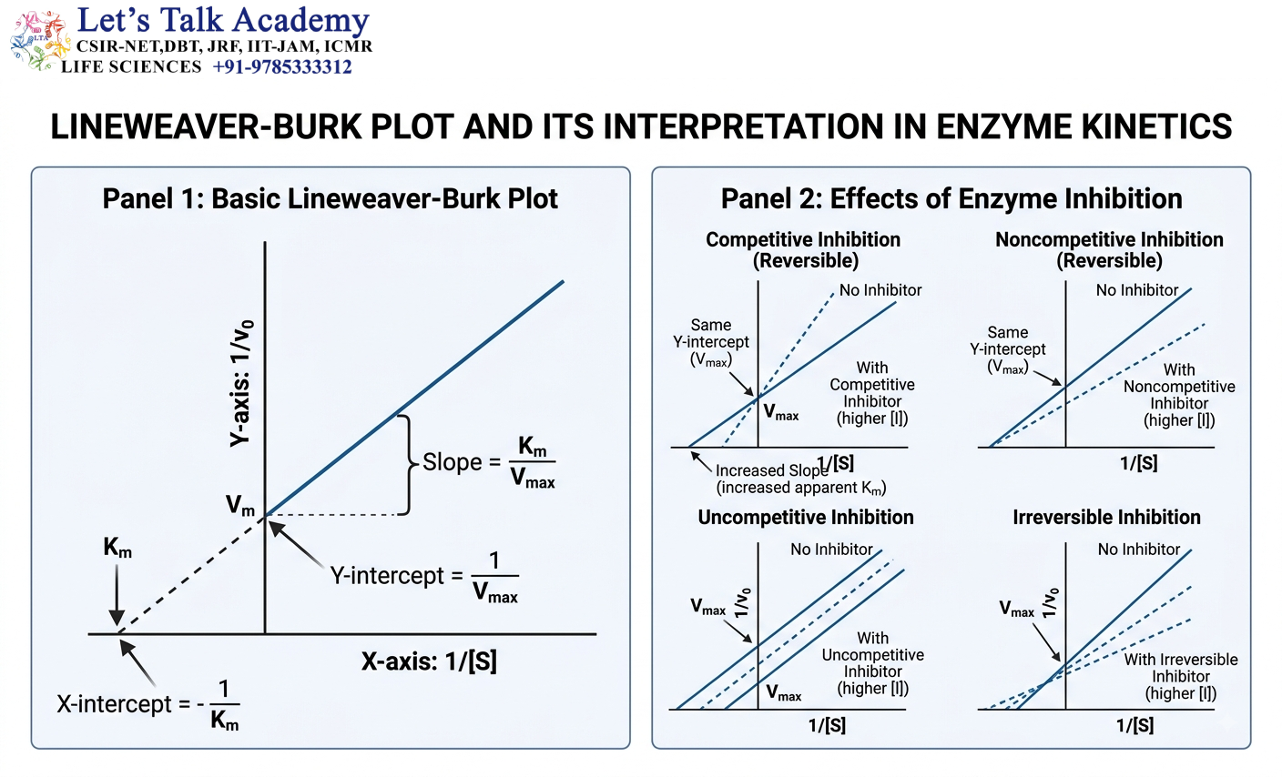 Lineweaver-Burk Plot and Its Interpretation in Enzyme Kinetics