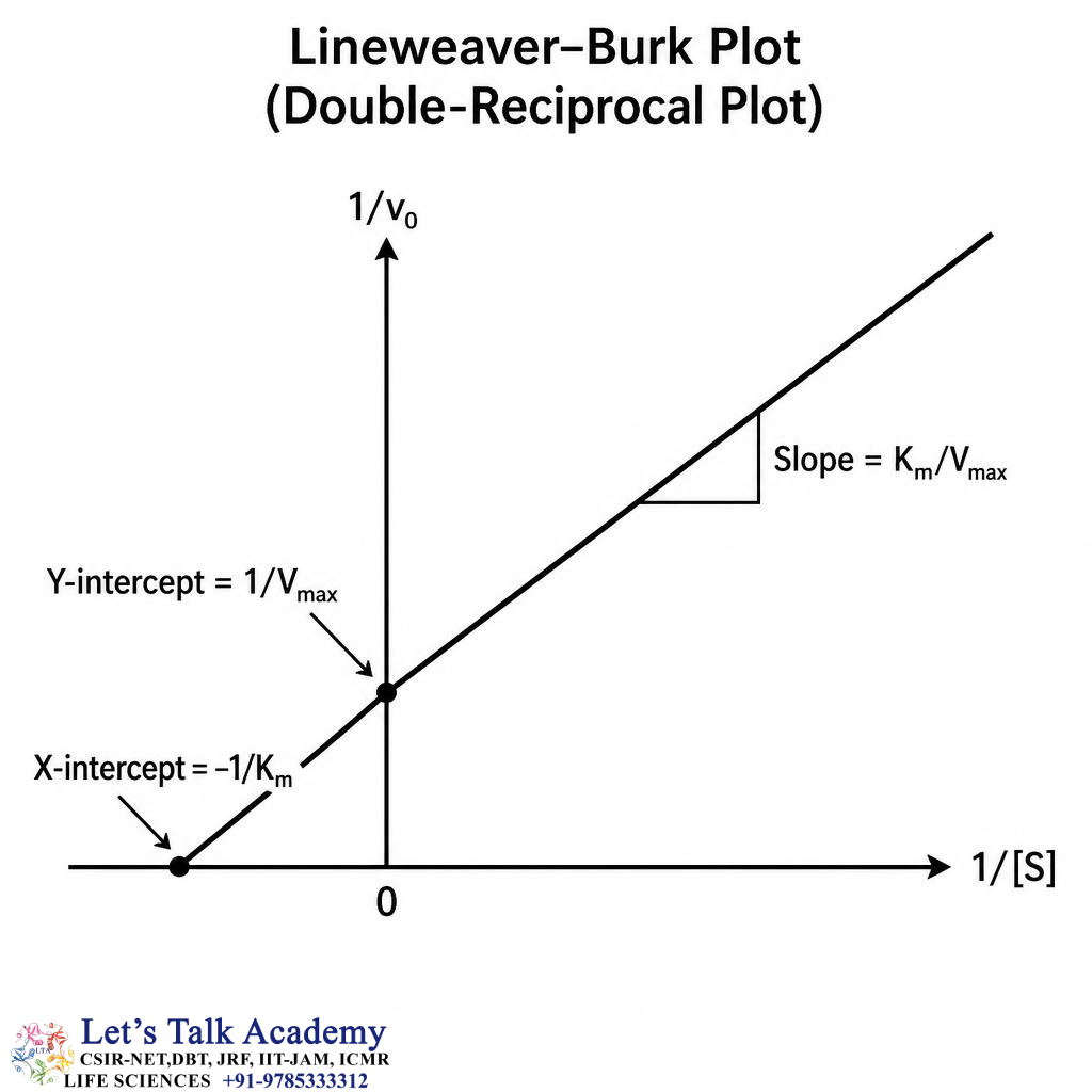 Lineweaver–Burk Plot