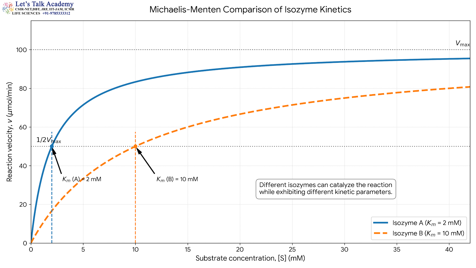 Michaelis-Menten Comparison of Isozyme Kinetics