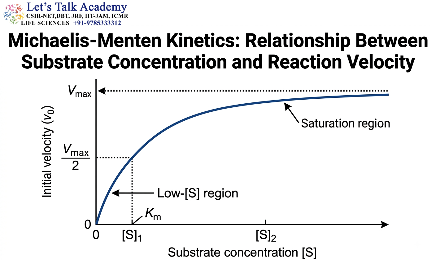 Michaelis-Menten Kinetics: Relationship Between Substrate Concentration and Reaction Velocity