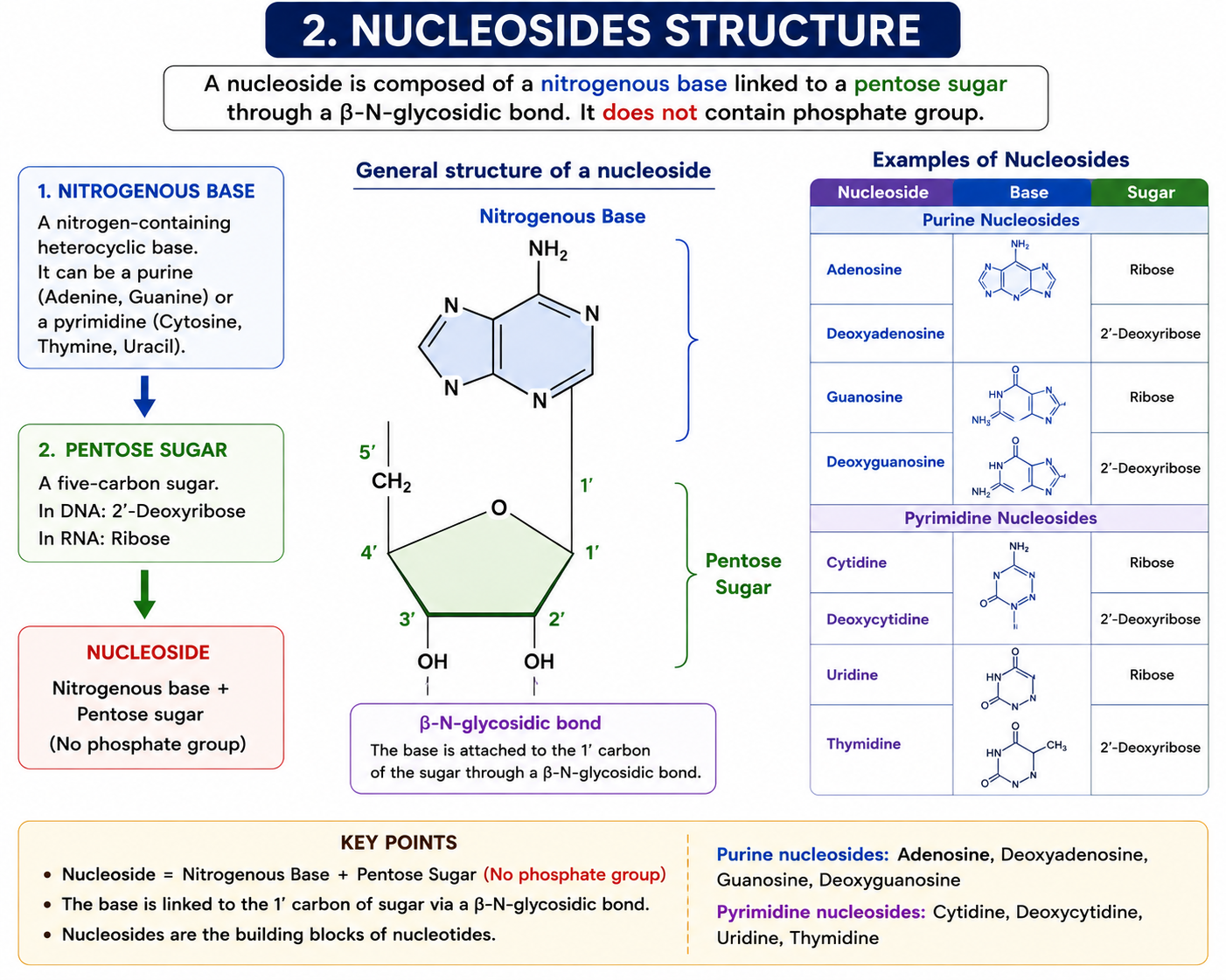 Nucleoside Structure