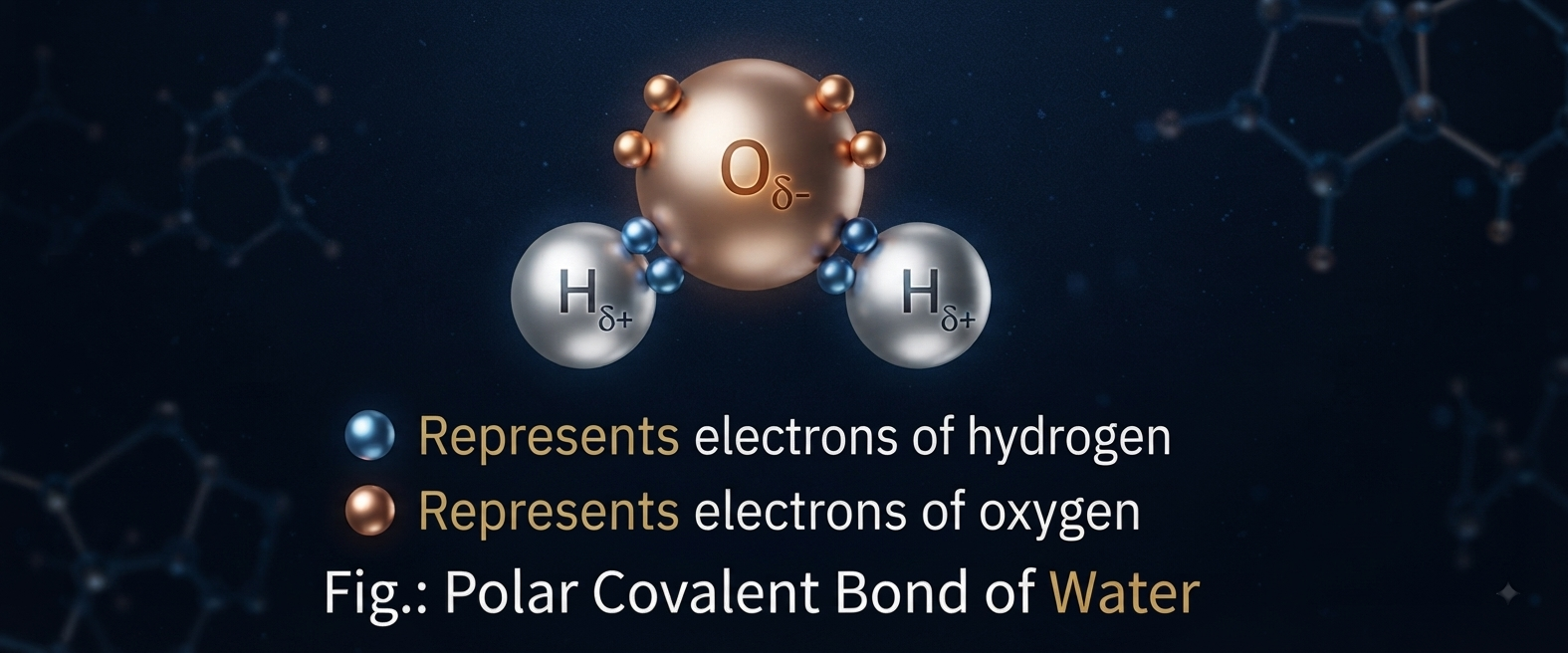 Polar covalent bond of water