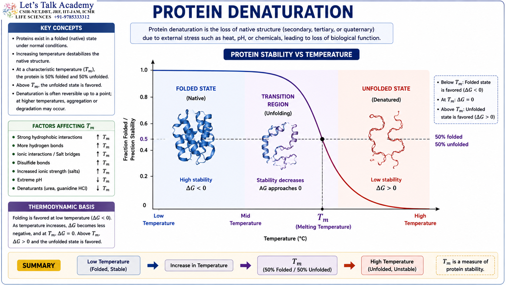 Protein Denaturation