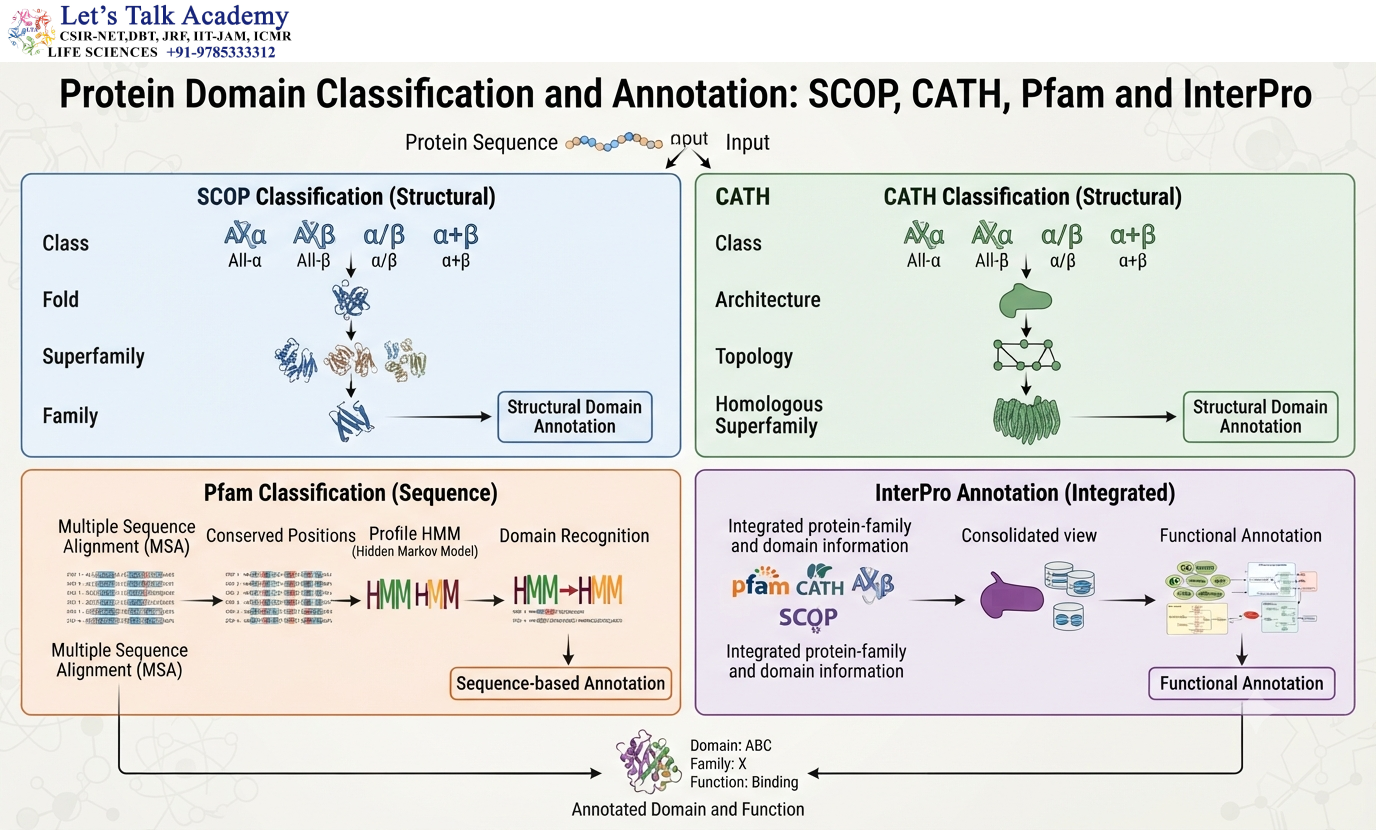 Protein Domain Classification and Annotation: SCOP, CATH, Pfam and InterPro