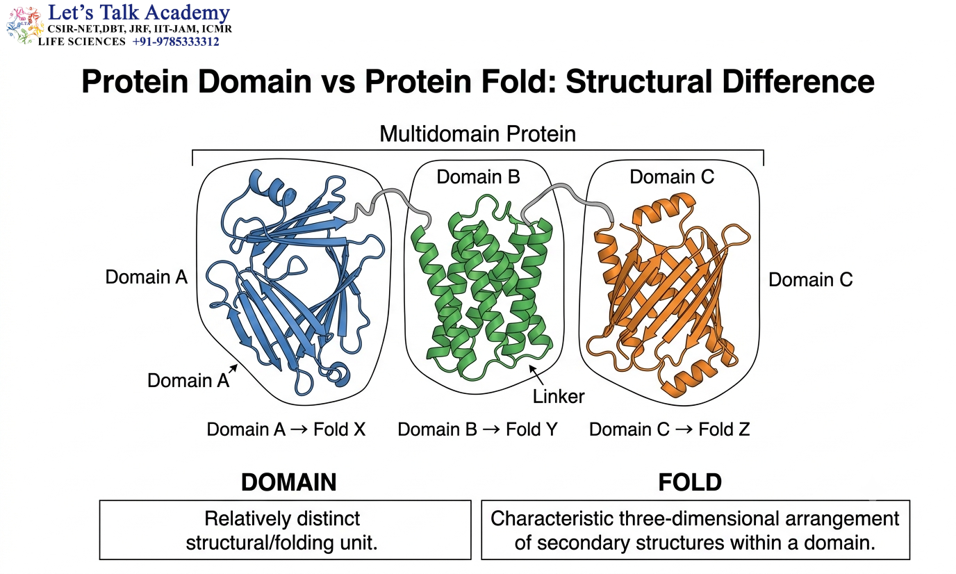 Protein Domain vs Protein Fold: Structural Difference