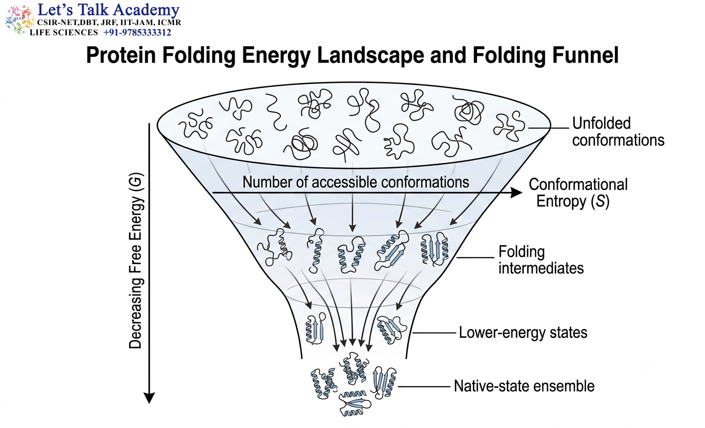 Protein Folding Energy Landscape and Folding Funnel