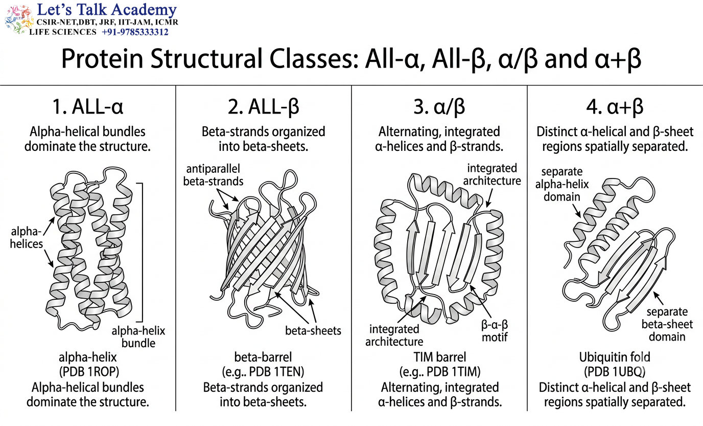 Protein Structural Classes: All-α, All-β, α/β and α+β