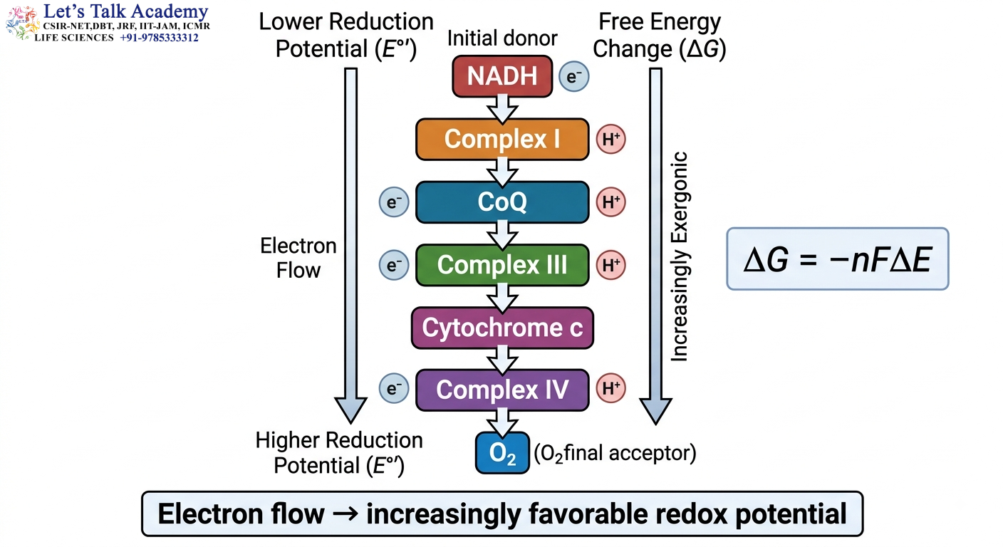 Redox Potential and Electron Flow Diagram