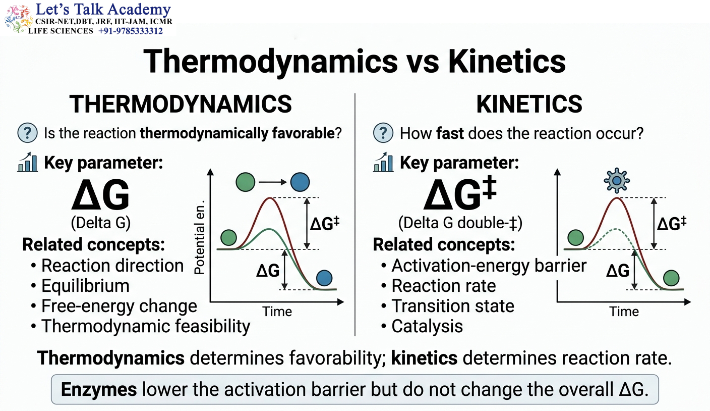 Thermodynamics vs Kinetics