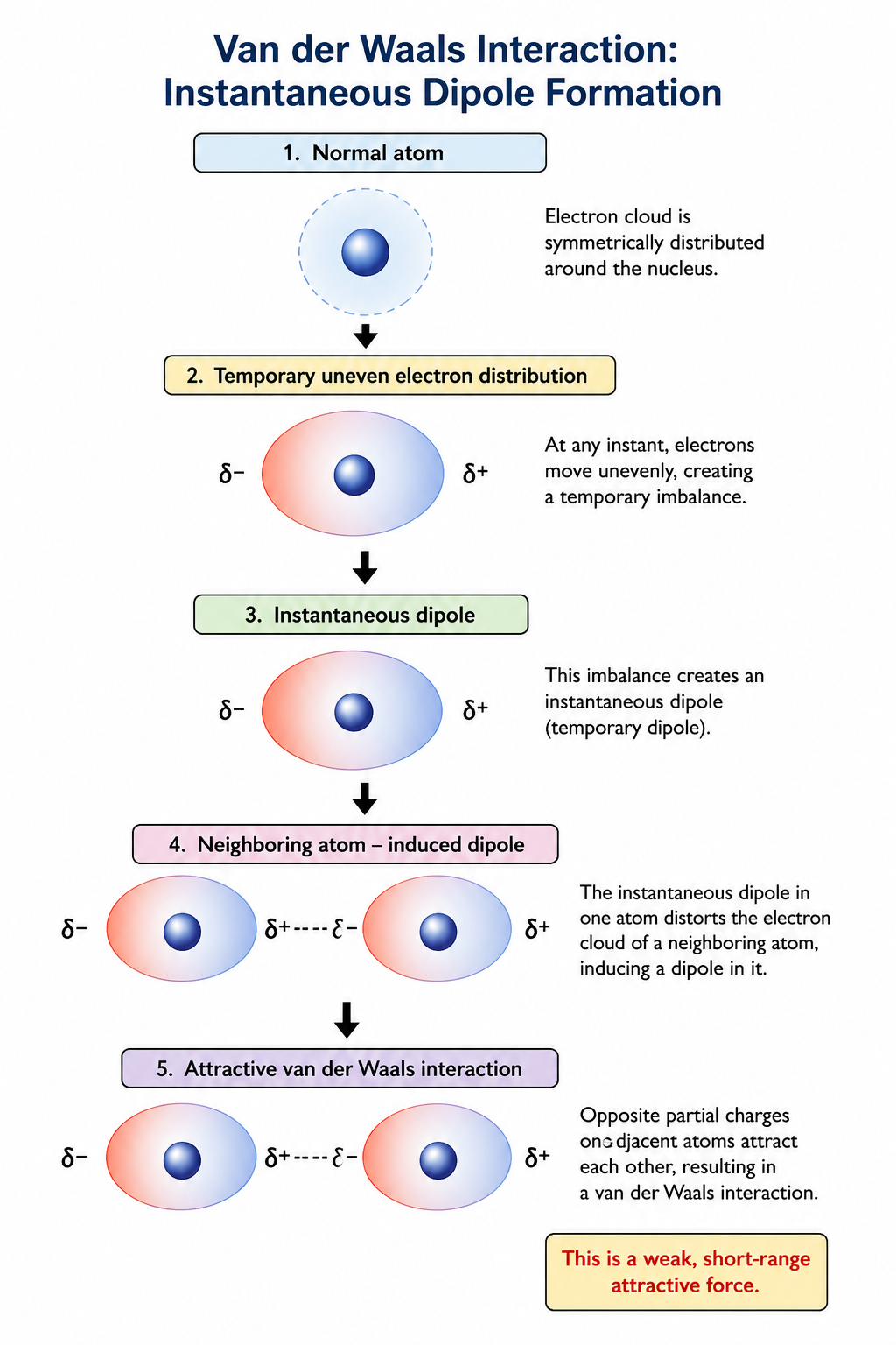 Vandel waal interaction