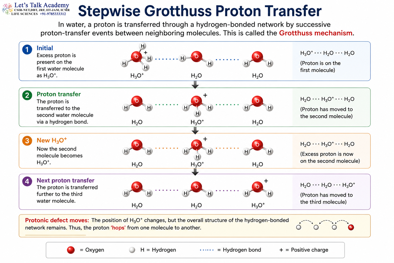 Stepwise Grotthuss Proton Transfer