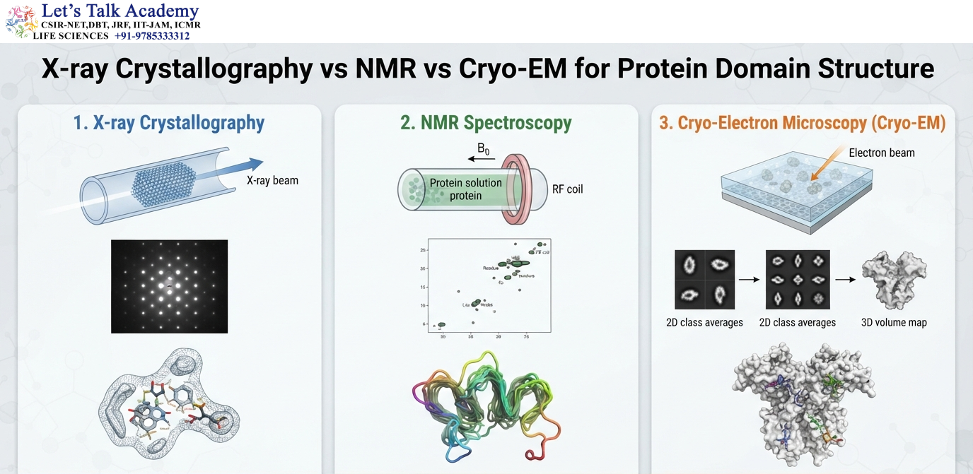 X-ray Crystallography vs NMR vs Cryo-EM for Protein Domain Structure