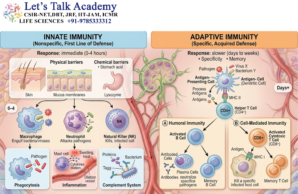 Overview of Innate and Adaptive Immunity