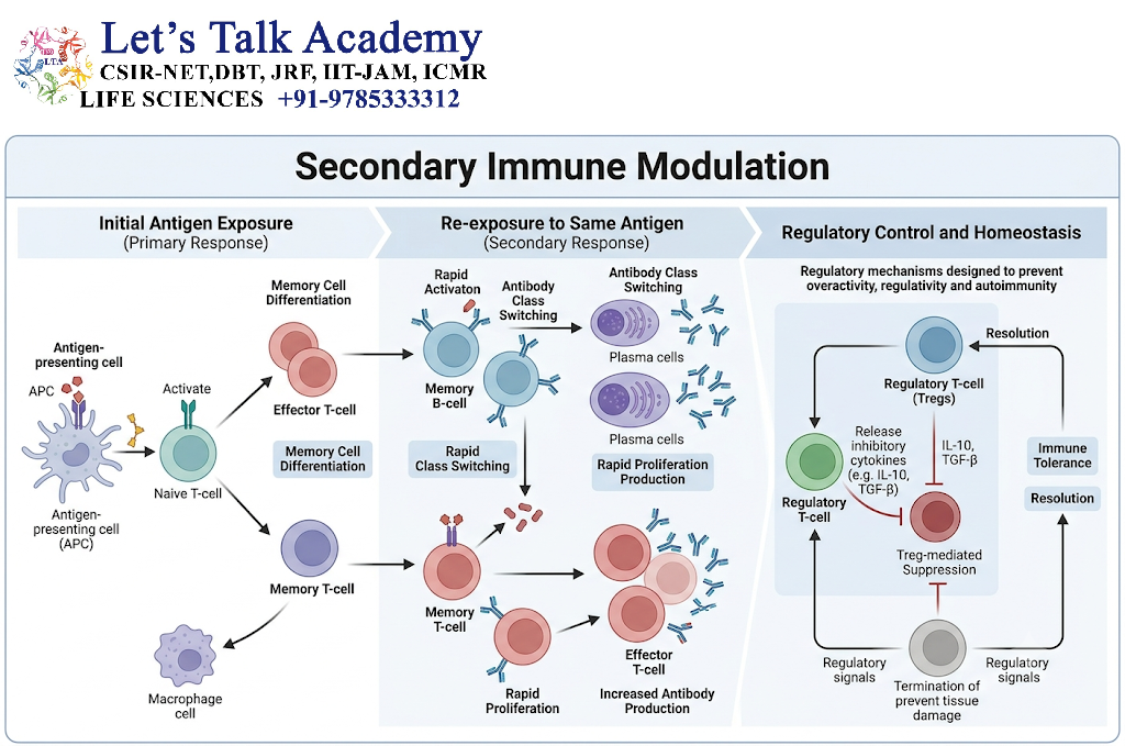 Secondary Immune Modulation