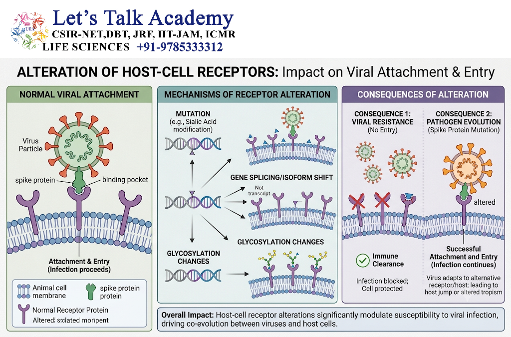 Alteration of Host-Cell Receptors
