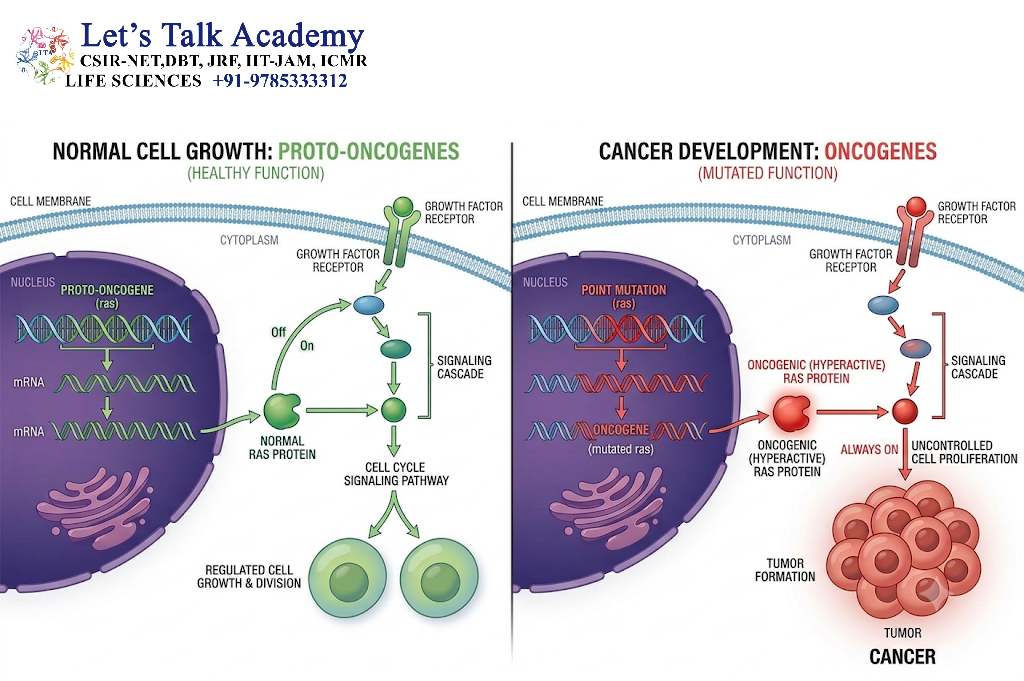 Proto-Oncogenes