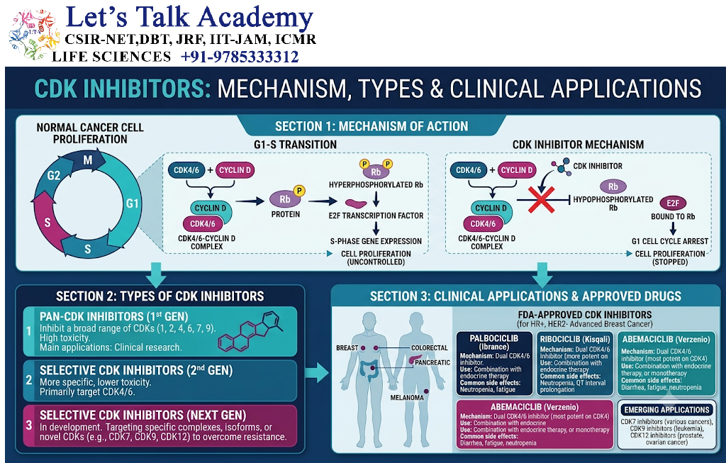 CDK Inhibitors