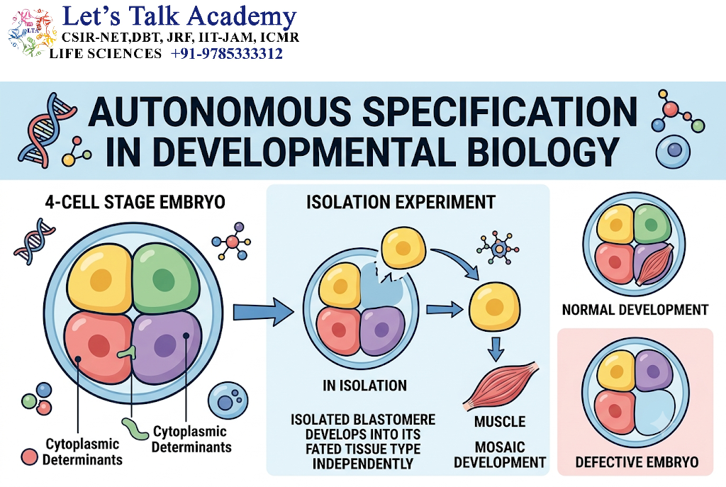 Autonomous Specification