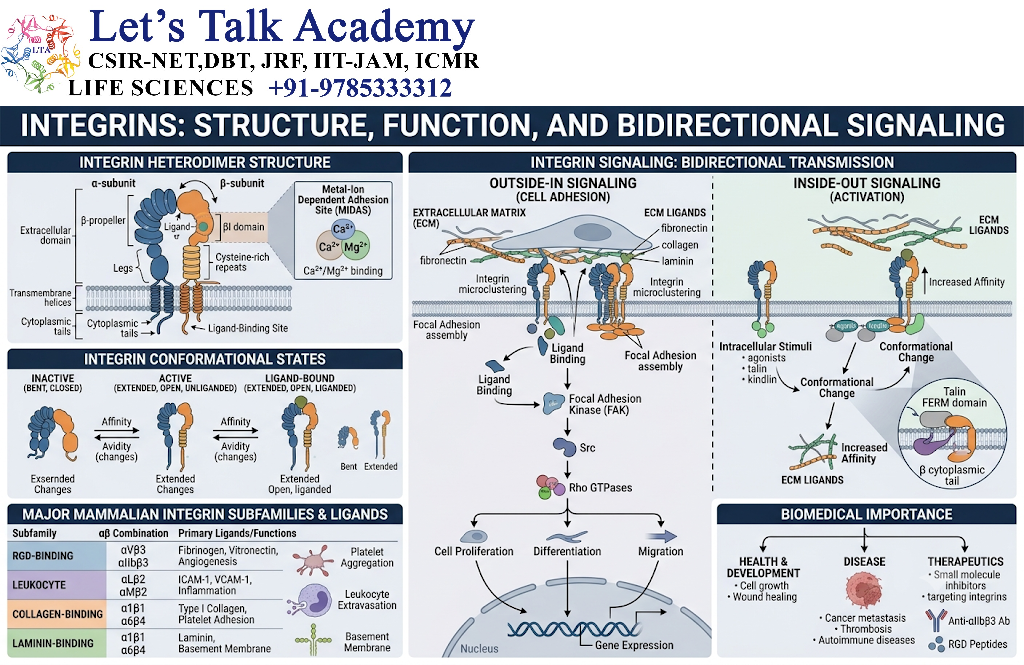 Integrins