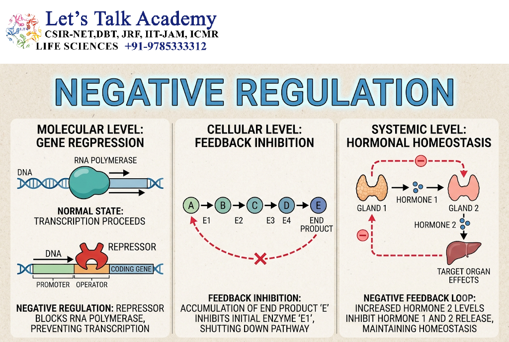 Negative Regulation