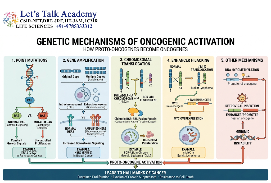 Genetic Mechanisms of Oncogenic Activation