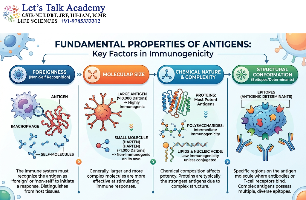 Fundamental Properties of Antigens
