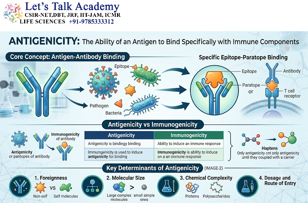 Antigenicity 
