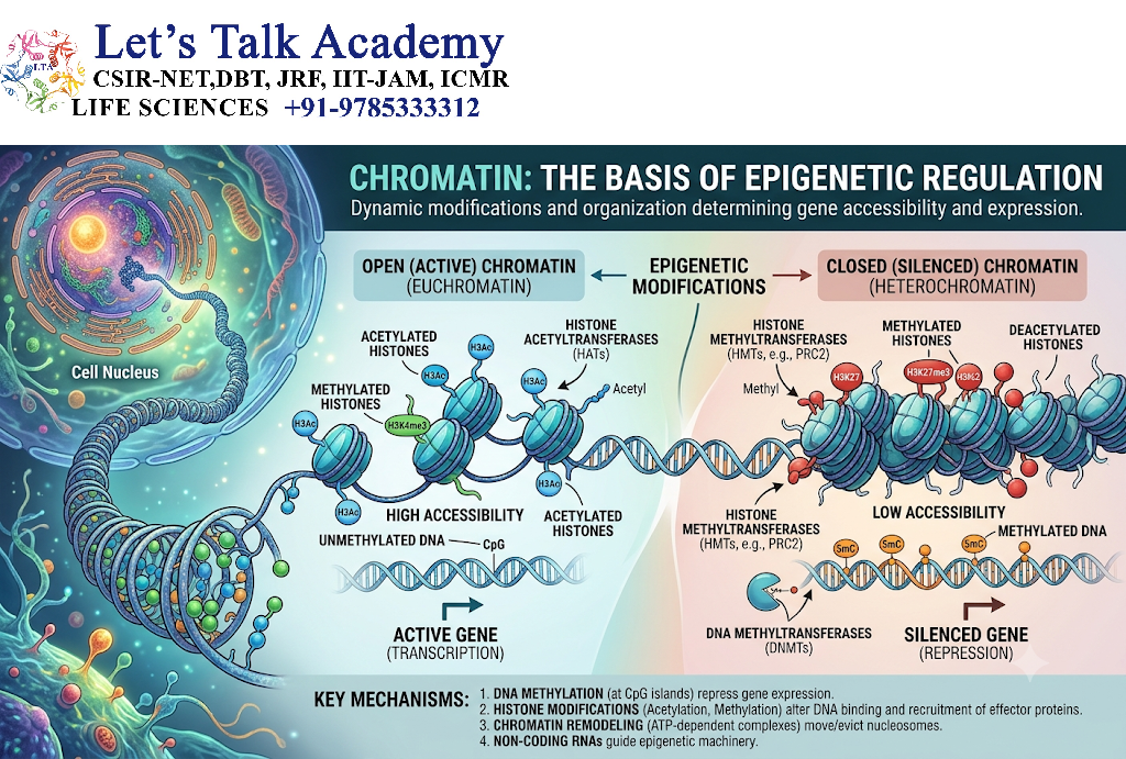 Chromatin as the Basis of Epigenetic Regulation