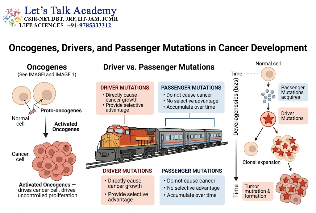 Oncogenes, Drivers, and Passenger Mutations