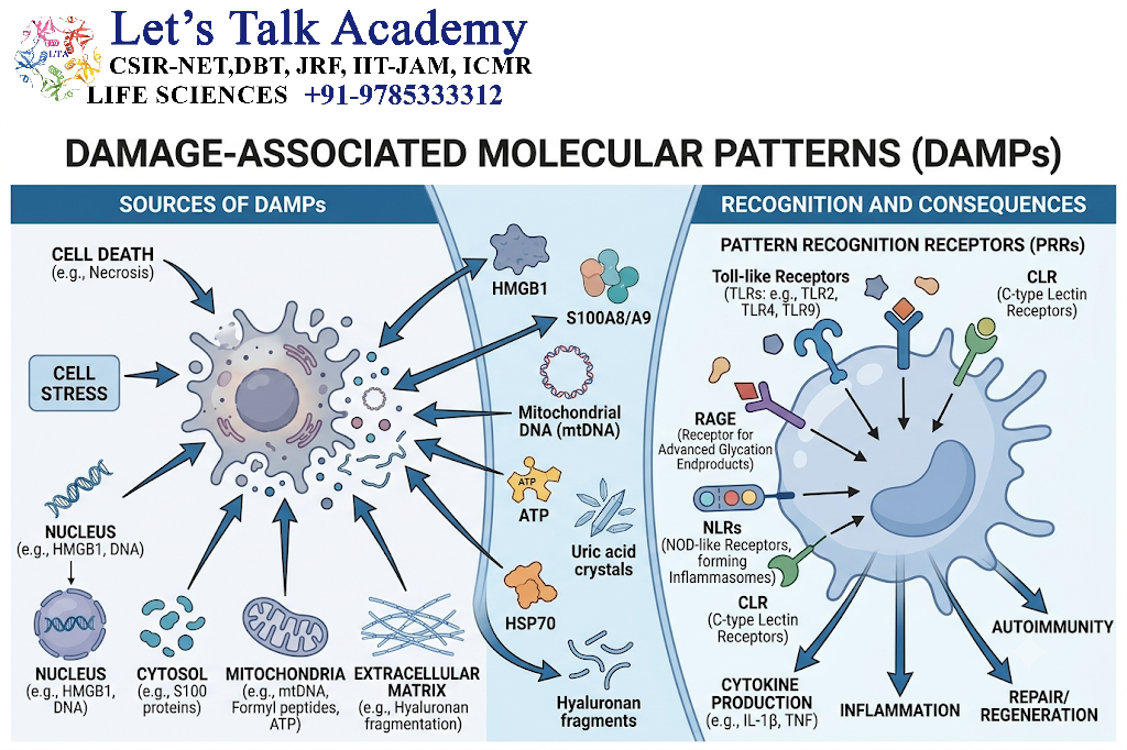 Damage-Associated Molecular Patterns