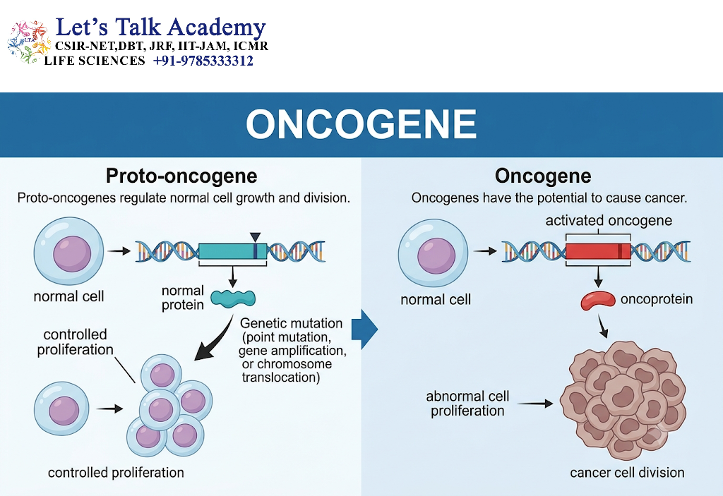 Oncogene