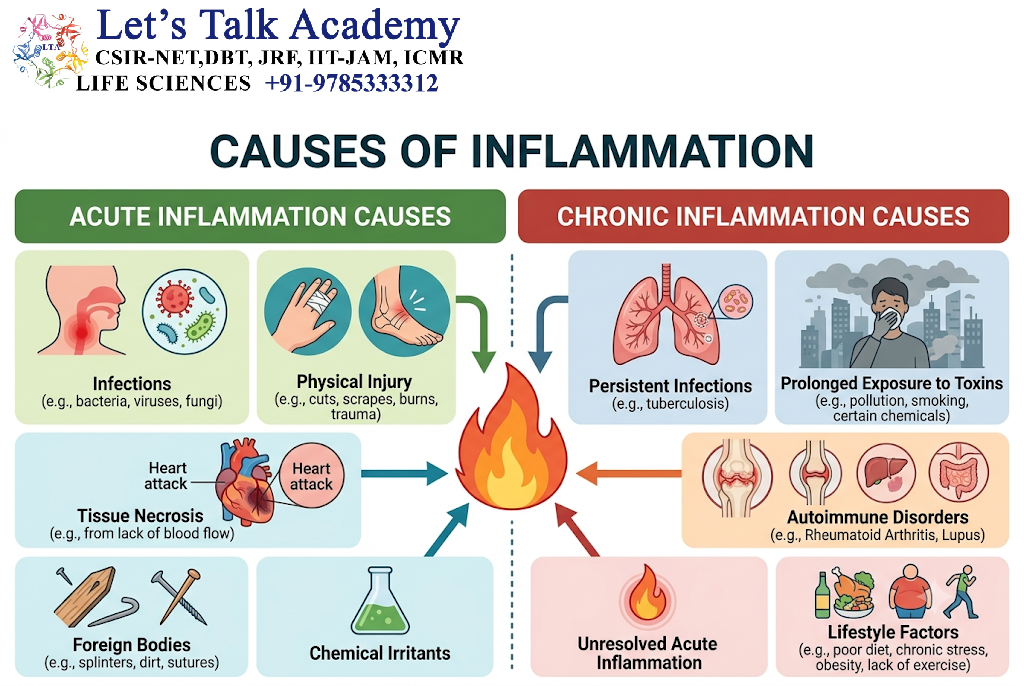 Causes of Inflammation