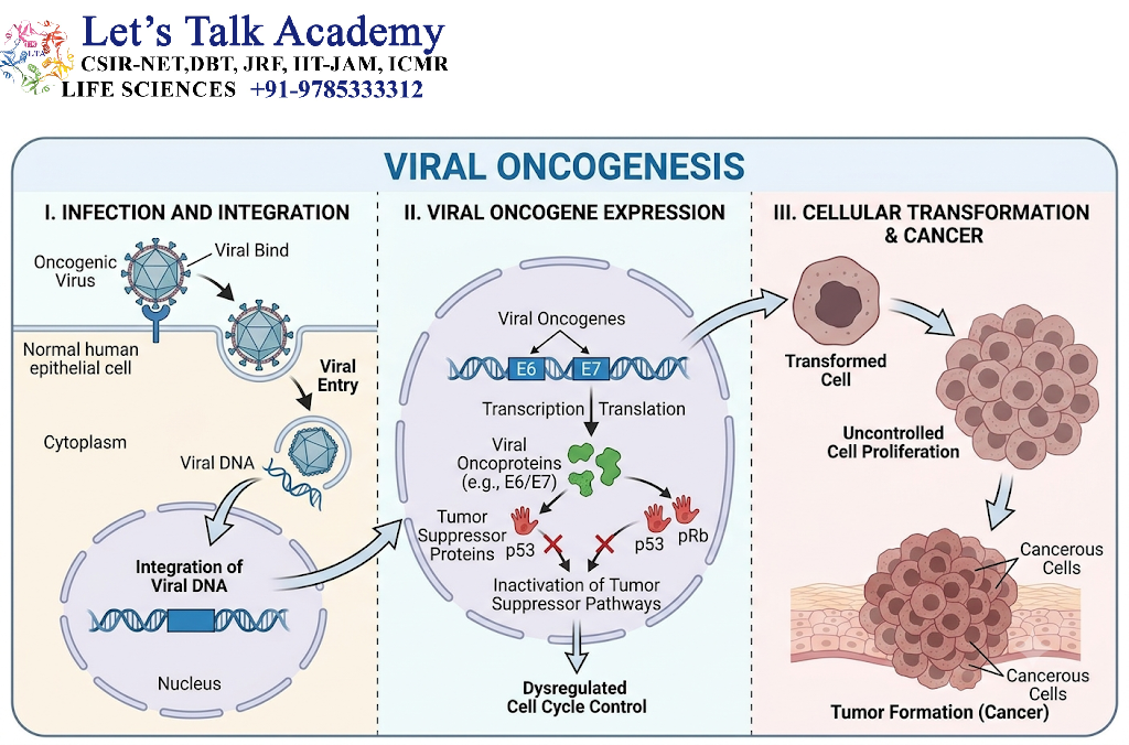 Viral Oncogenesis