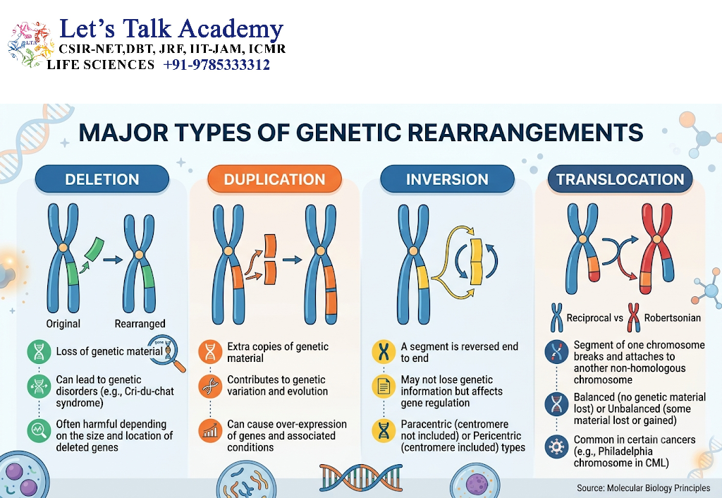 Major Types of Genetic Rearrangements