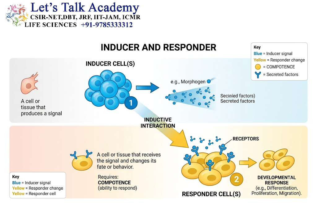Inducer and Responder