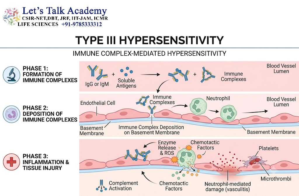 Type III Hypersensitivity