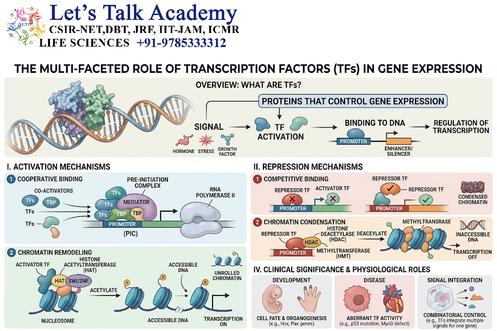 Role of Transcription Factors